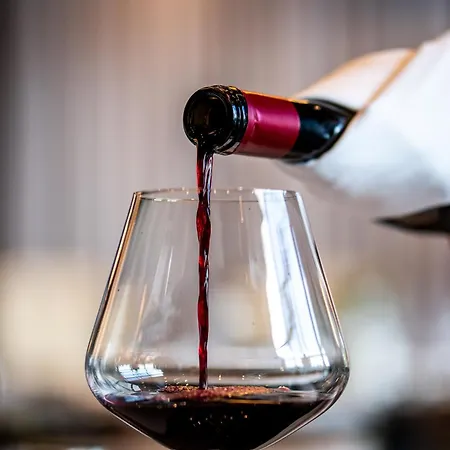 Premium Hotel, ノヴィ・サド